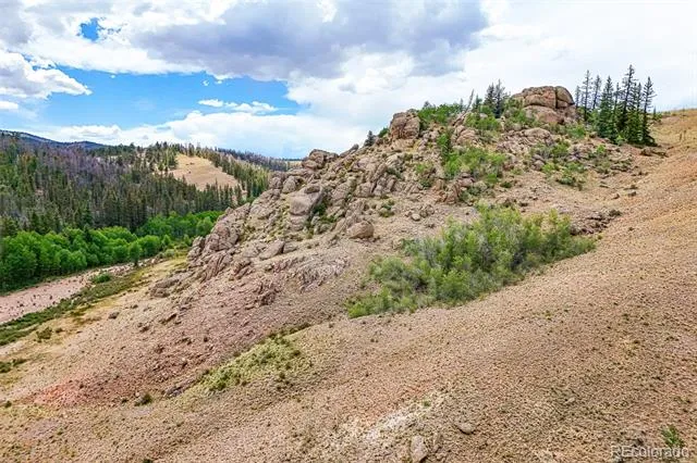 1111 Latigo Loop Hartsel, CO 80820