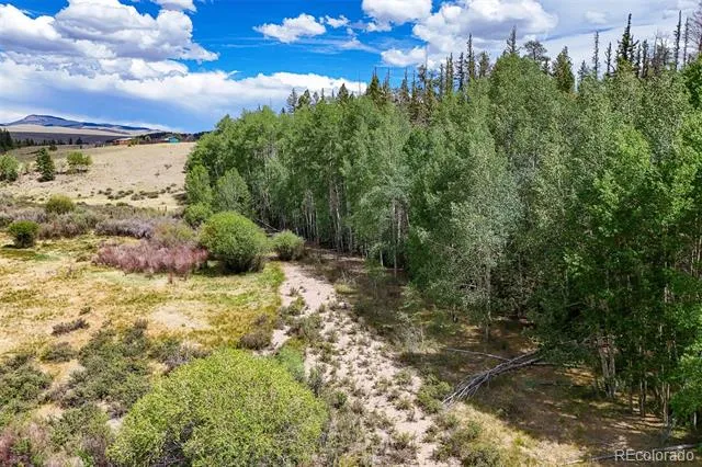 1111 Latigo Loop Hartsel, CO 80820