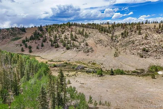 1111 Latigo Loop Hartsel, CO 80820