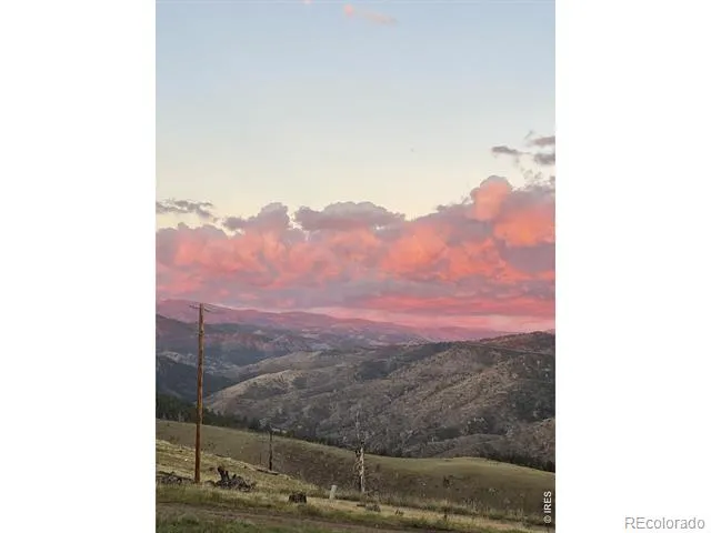132 Sheep Mountain Court Livermore, CO 80536