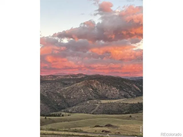 132 Sheep Mountain Court Livermore, CO 80536