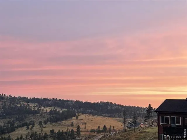 132 Sheep Mountain Court Livermore, CO 80536