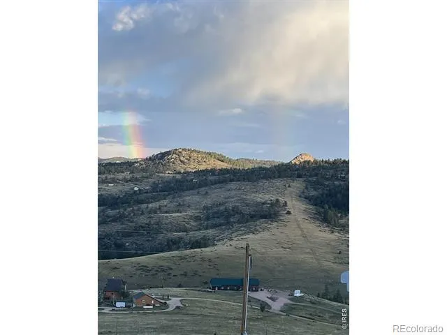 132 Sheep Mountain Court Livermore, CO 80536