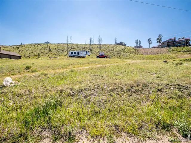 132 Sheep Mountain Court Livermore, CO 80536