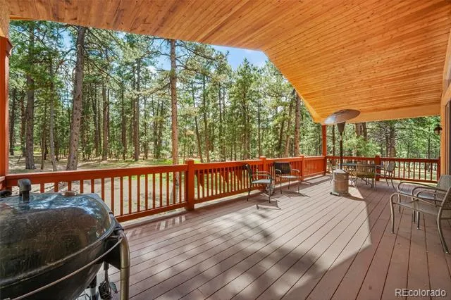 4235 Slash Pine Drive Colorado Springs, CO 80908