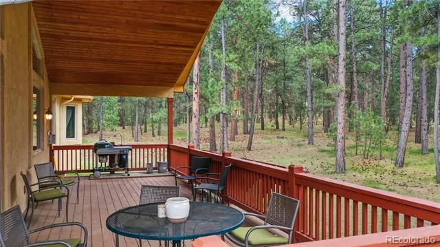 4235 Slash Pine Drive Colorado Springs, CO 80908