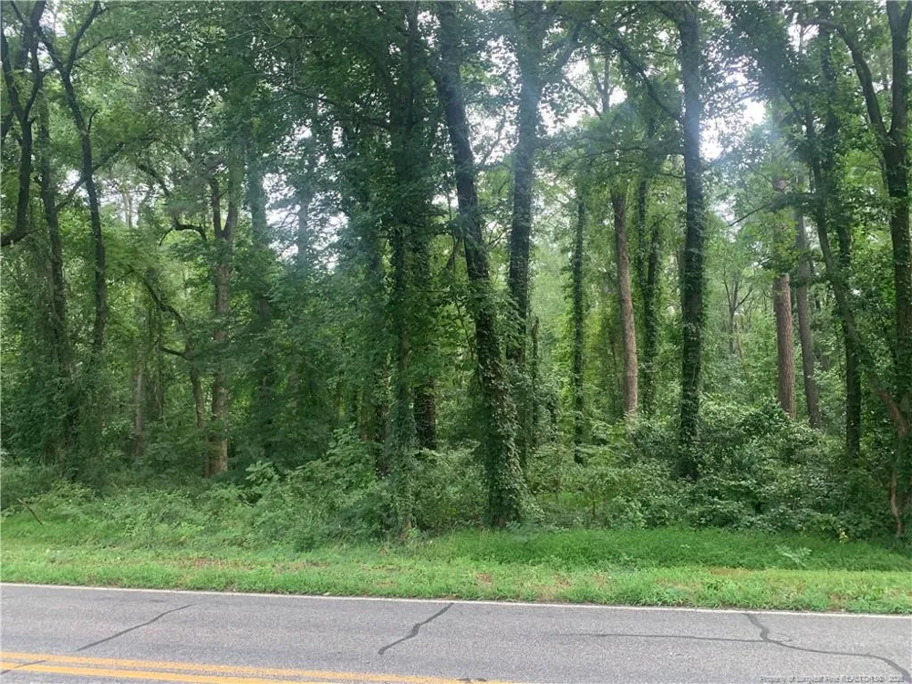 Rocky Fork Church rd Road Sanford, NC 27330
