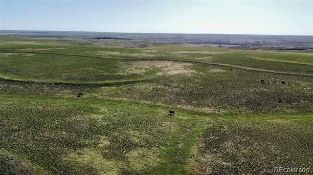 A County Rd 166 Deer Trail, CO 80105