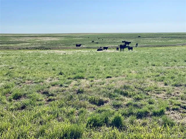 A County Rd 166 Deer Trail, CO 80105