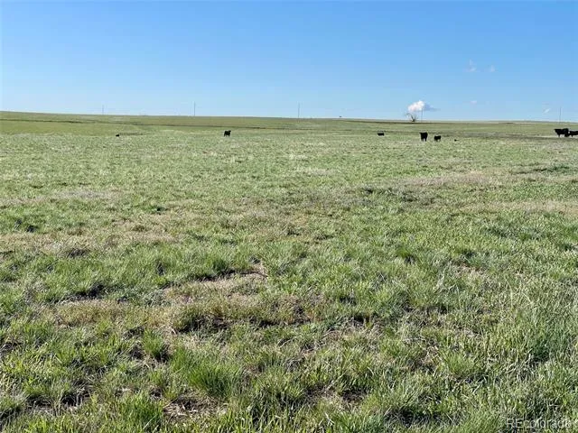 A County Rd 166 Deer Trail, CO 80105