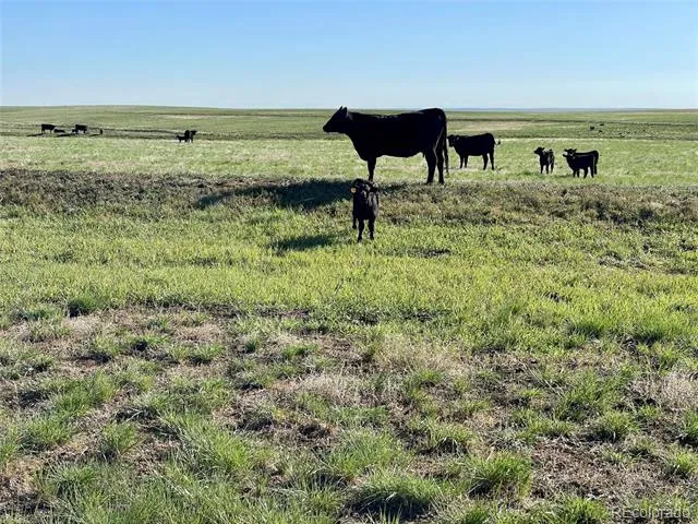 A County Rd 166 Deer Trail, CO 80105