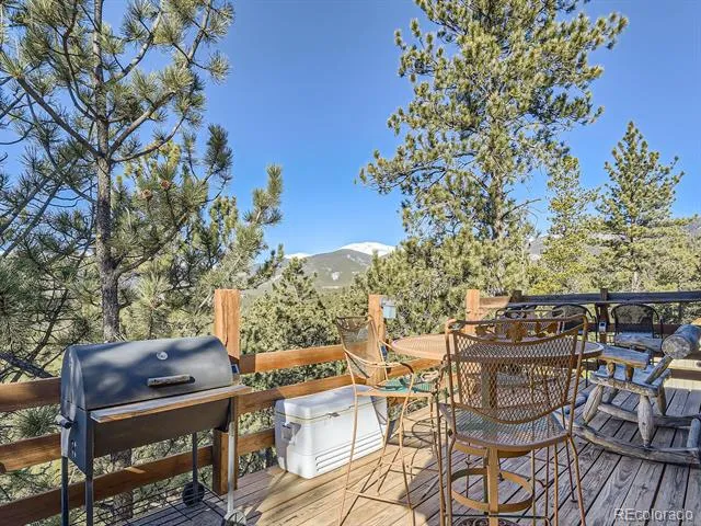 139 Hayes Road Bailey, CO 80421