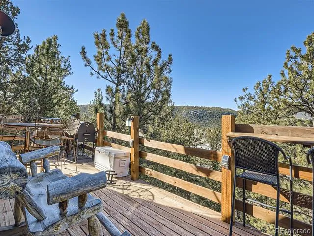 139 Hayes Road Bailey, CO 80421