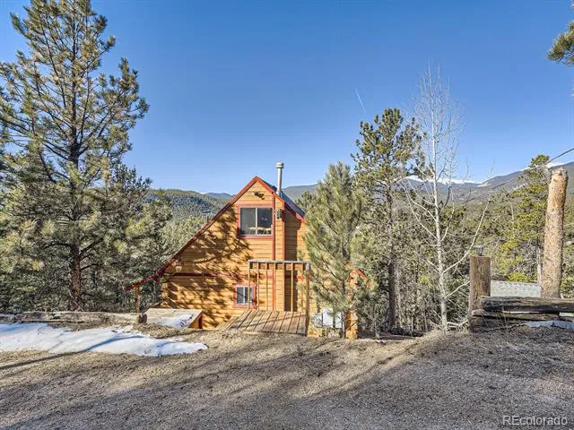 139 Hayes Road Bailey, CO 80421