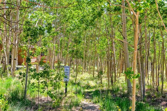 2346 High Creek Road Fairplay, CO 80440
