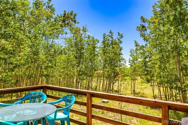 2346 High Creek Road Fairplay, CO 80440