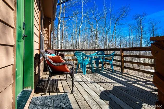 2346 High Creek Road Fairplay, CO 80440