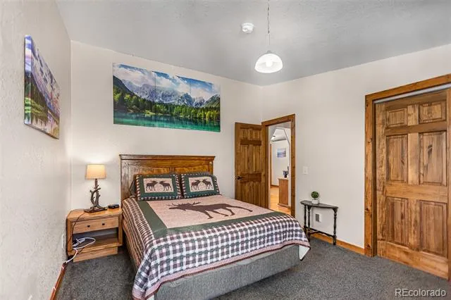 2346 High Creek Road Fairplay, CO 80440