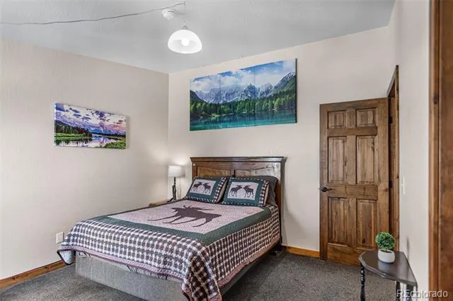 2346 High Creek Road Fairplay, CO 80440