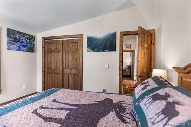 2346 High Creek Road Fairplay, CO 80440