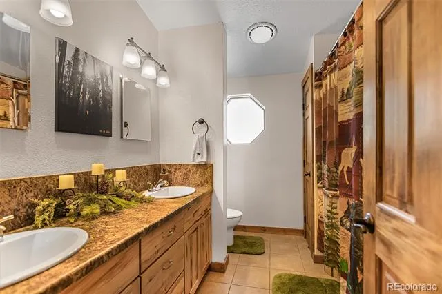 2346 High Creek Road Fairplay, CO 80440