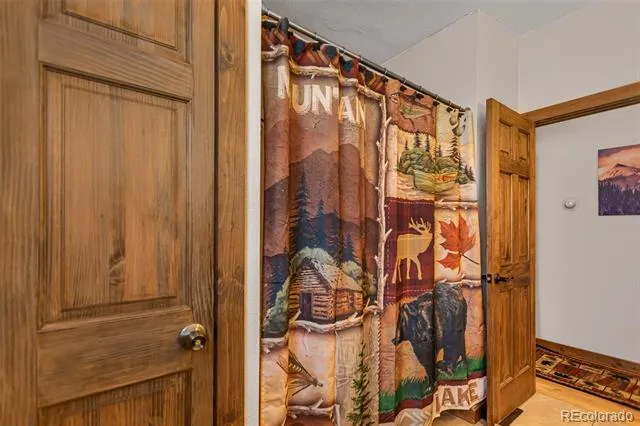 2346 High Creek Road Fairplay, CO 80440