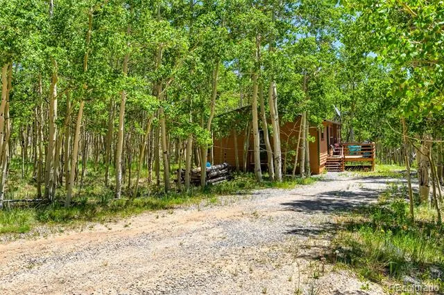 2346 High Creek Road Fairplay, CO 80440