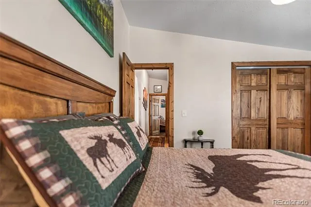 2346 High Creek Road Fairplay, CO 80440