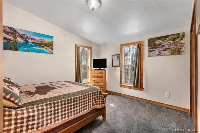 2346 High Creek Road Fairplay, CO 80440