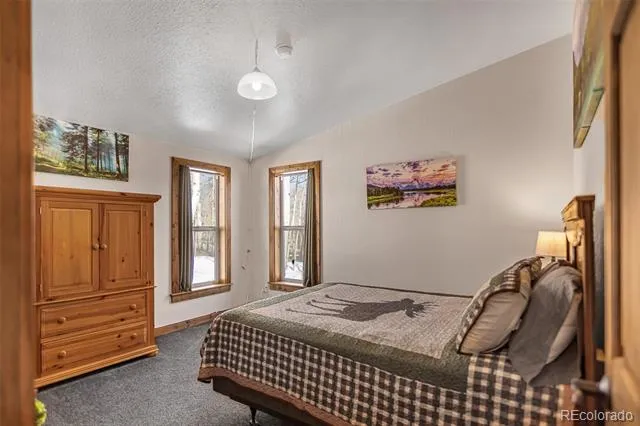 2346 High Creek Road Fairplay, CO 80440