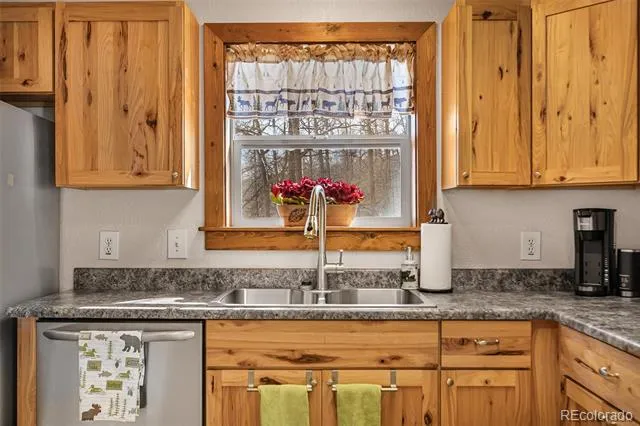 2346 High Creek Road Fairplay, CO 80440