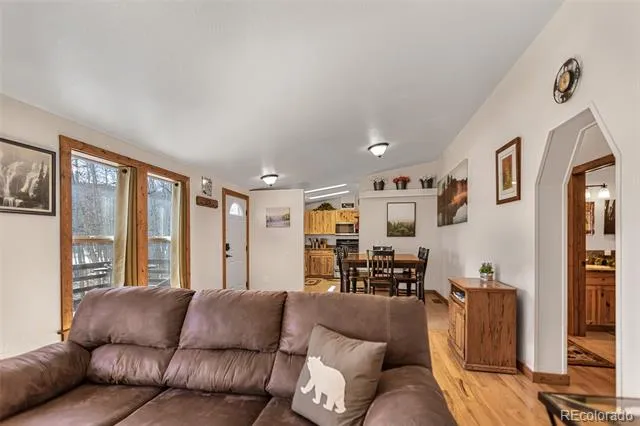 2346 High Creek Road Fairplay, CO 80440