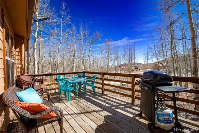 2346 High Creek Road Fairplay, CO 80440