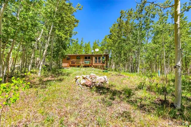 2346 High Creek Road Fairplay, CO 80440