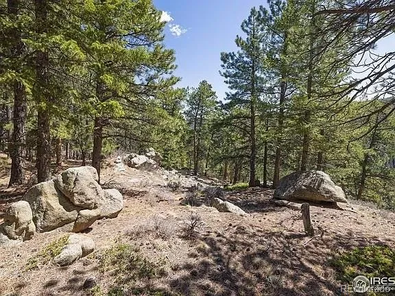213 Rocky Knob Lane Nederland, CO 80466