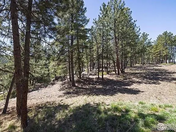213 Rocky Knob Lane Nederland, CO 80466