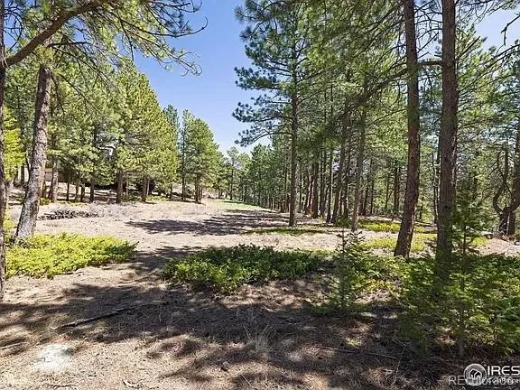 213 Rocky Knob Lane Nederland, CO 80466