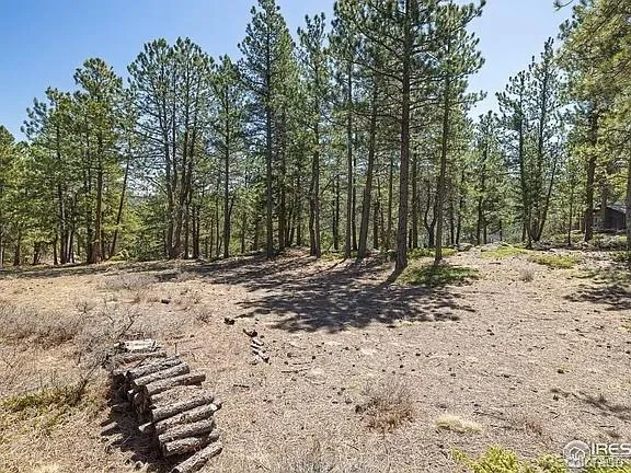 213 Rocky Knob Lane Nederland, CO 80466
