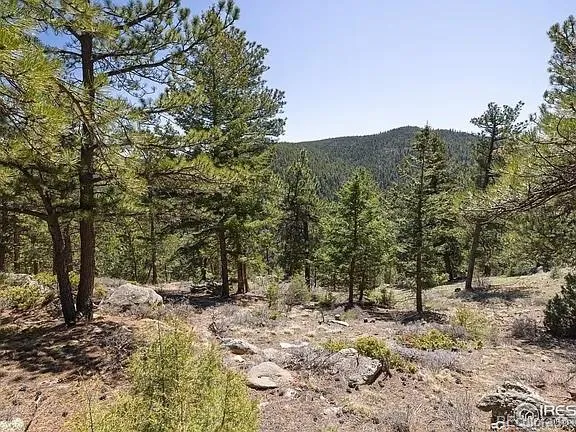 213 Rocky Knob Lane Nederland, CO 80466