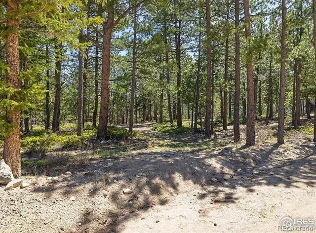 213 Rocky Knob Lane Nederland, CO 80466