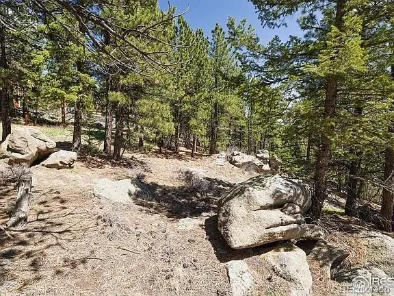 213 Rocky Knob Lane Nederland, CO 80466