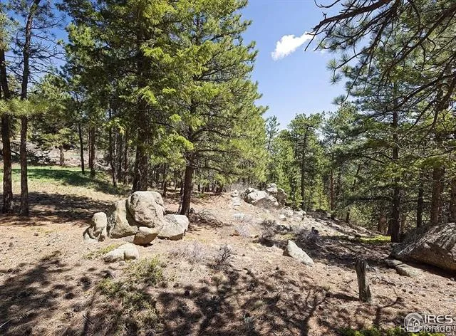 213 Rocky Knob Lane Nederland, CO 80466