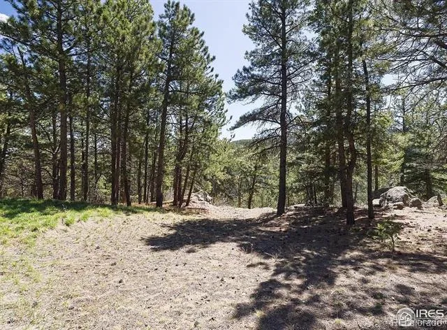 213 Rocky Knob Lane Nederland, CO 80466