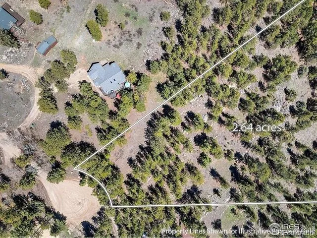 213 Rocky Knob Lane Nederland, CO 80466