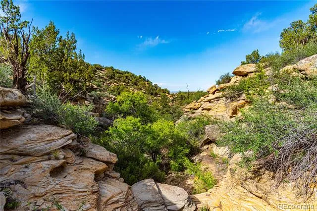 TBD L Bandito Trail Florence, CO 81226