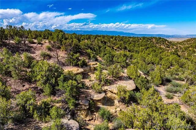 TBD L Bandito Trail Florence, CO 81226