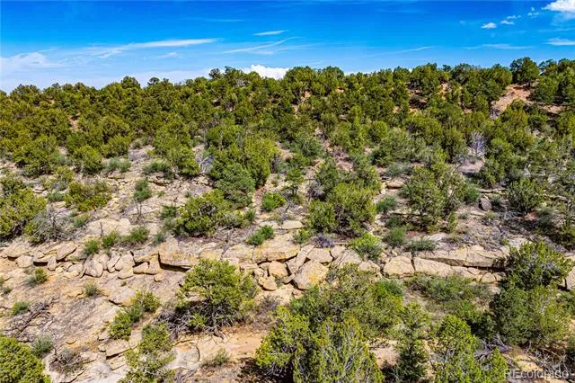 TBD L Bandito Trail Florence, CO 81226