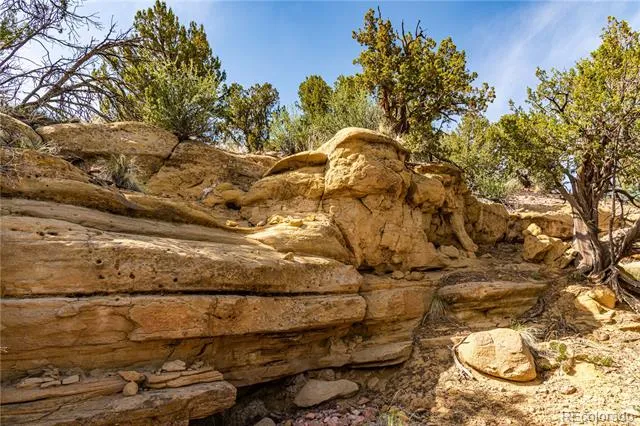 TBD L Bandito Trail Florence, CO 81226