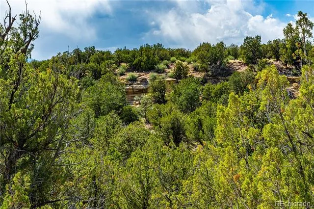 TBD L Bandito Trail Florence, CO 81226