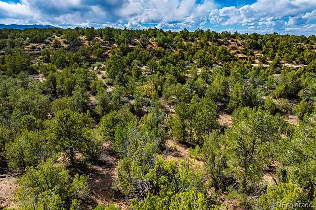 TBD L Bandito Trail Florence, CO 81226